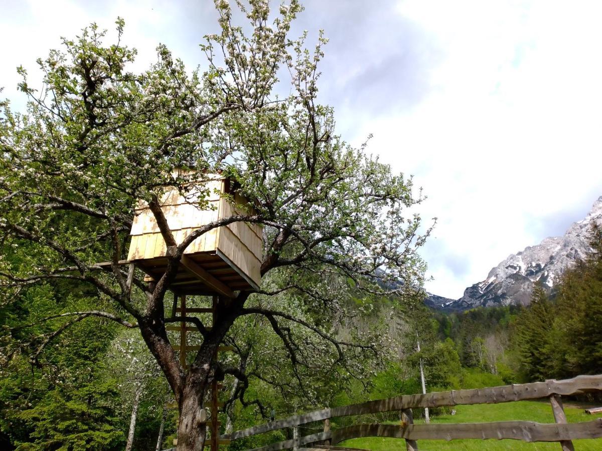 Camping & Glamping Grintovec Preddvor Bagian luar foto