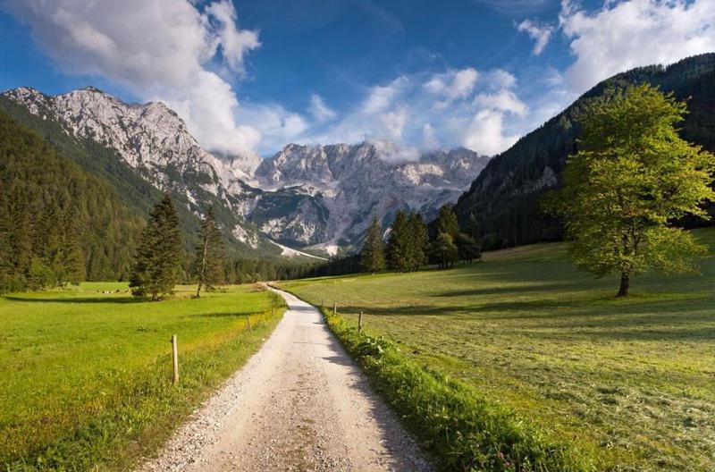 Camping & Glamping Grintovec Preddvor Bagian luar foto