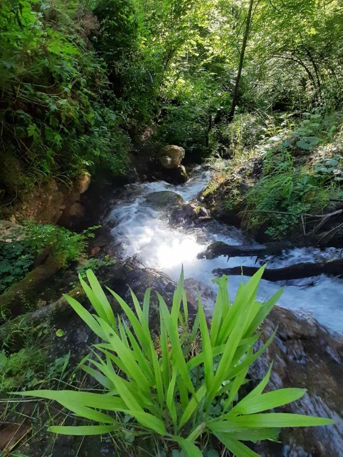 Camping & Glamping Grintovec Preddvor Bagian luar foto