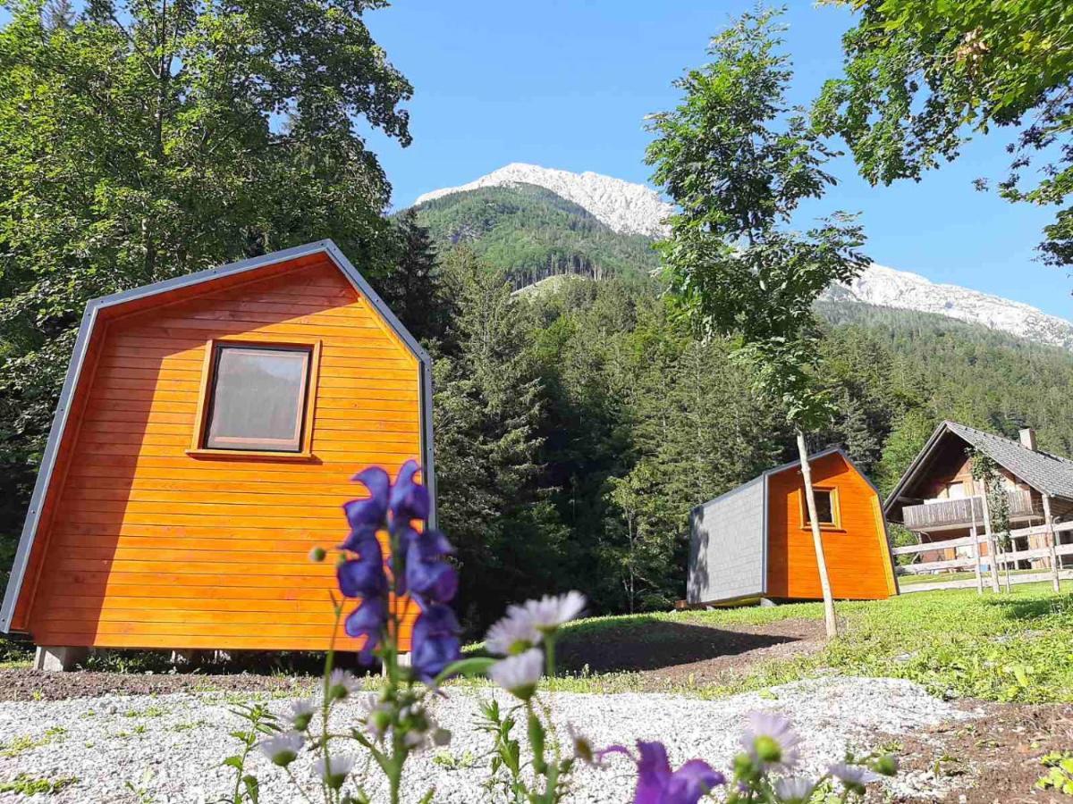 Camping & Glamping Grintovec Preddvor Bagian luar foto