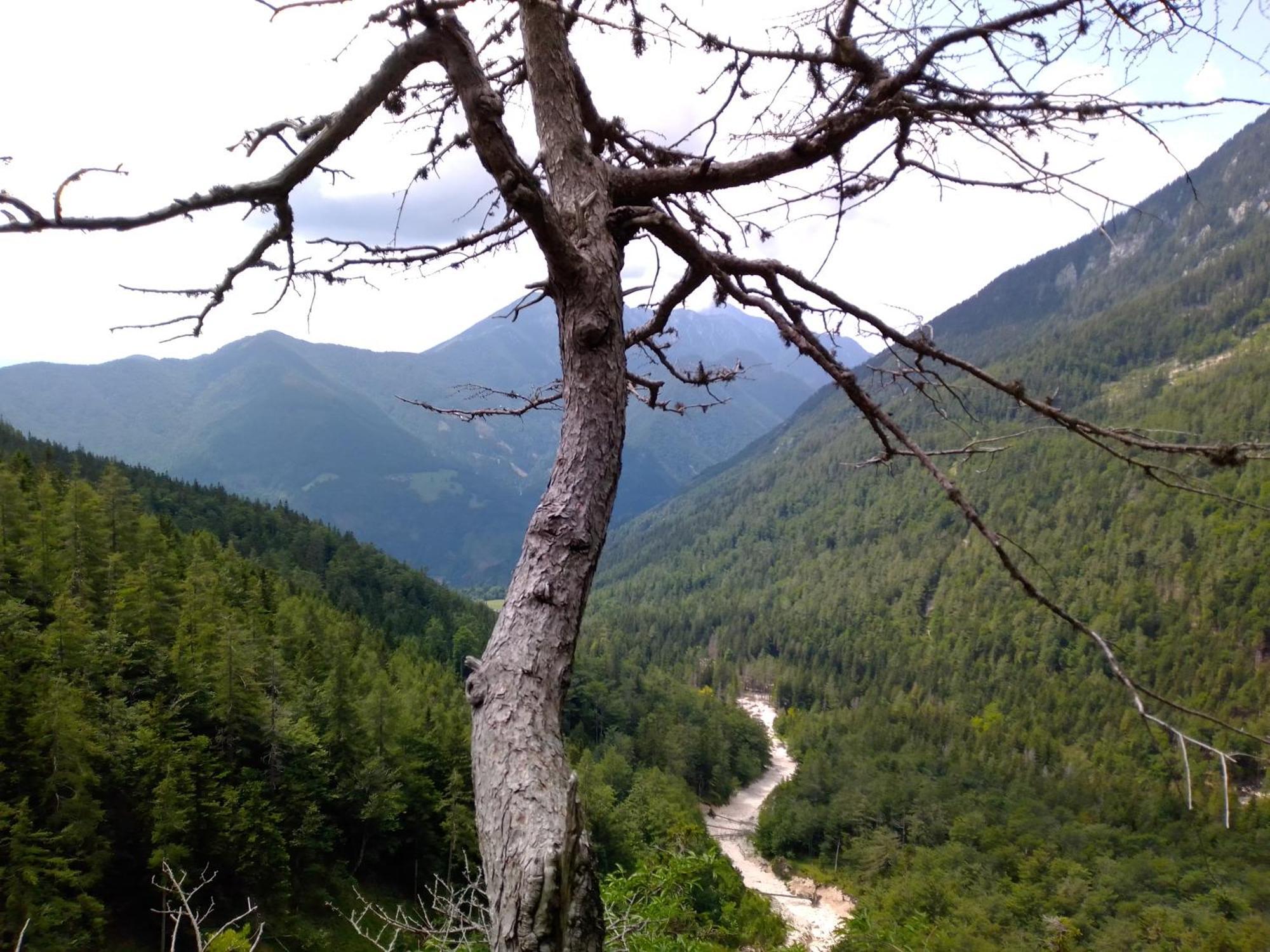 Camping & Glamping Grintovec Preddvor Bagian luar foto