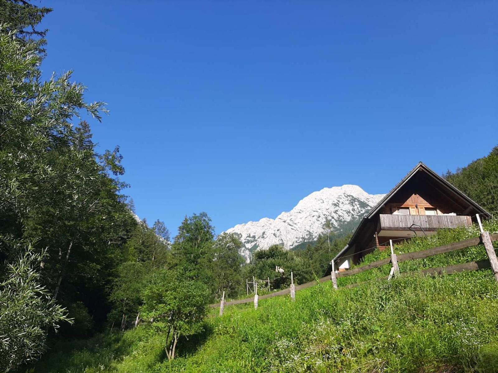Camping & Glamping Grintovec Preddvor Bagian luar foto