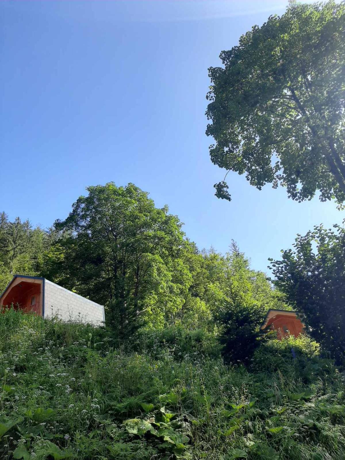 Camping & Glamping Grintovec Preddvor Bagian luar foto