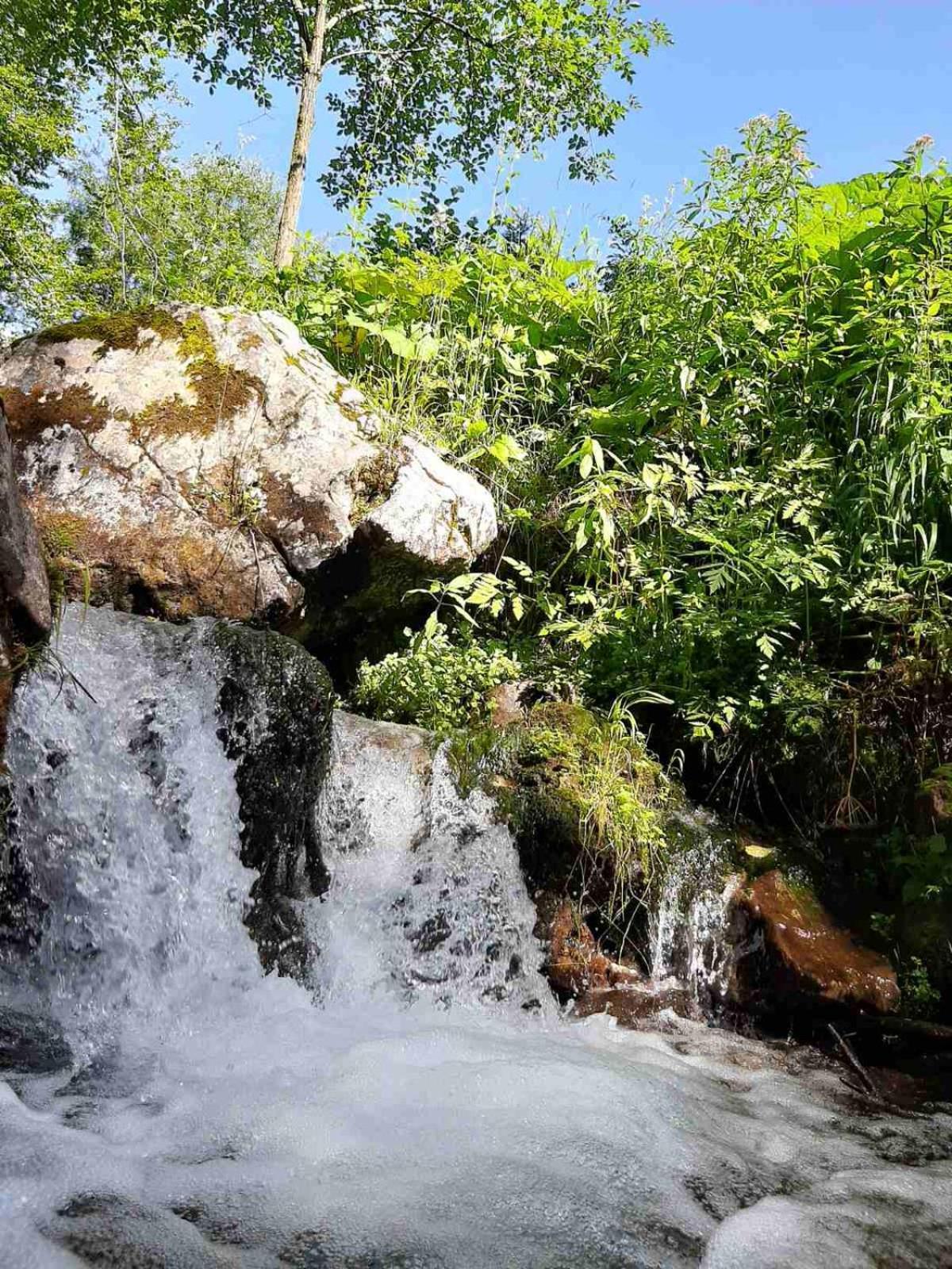 Camping & Glamping Grintovec Preddvor Bagian luar foto