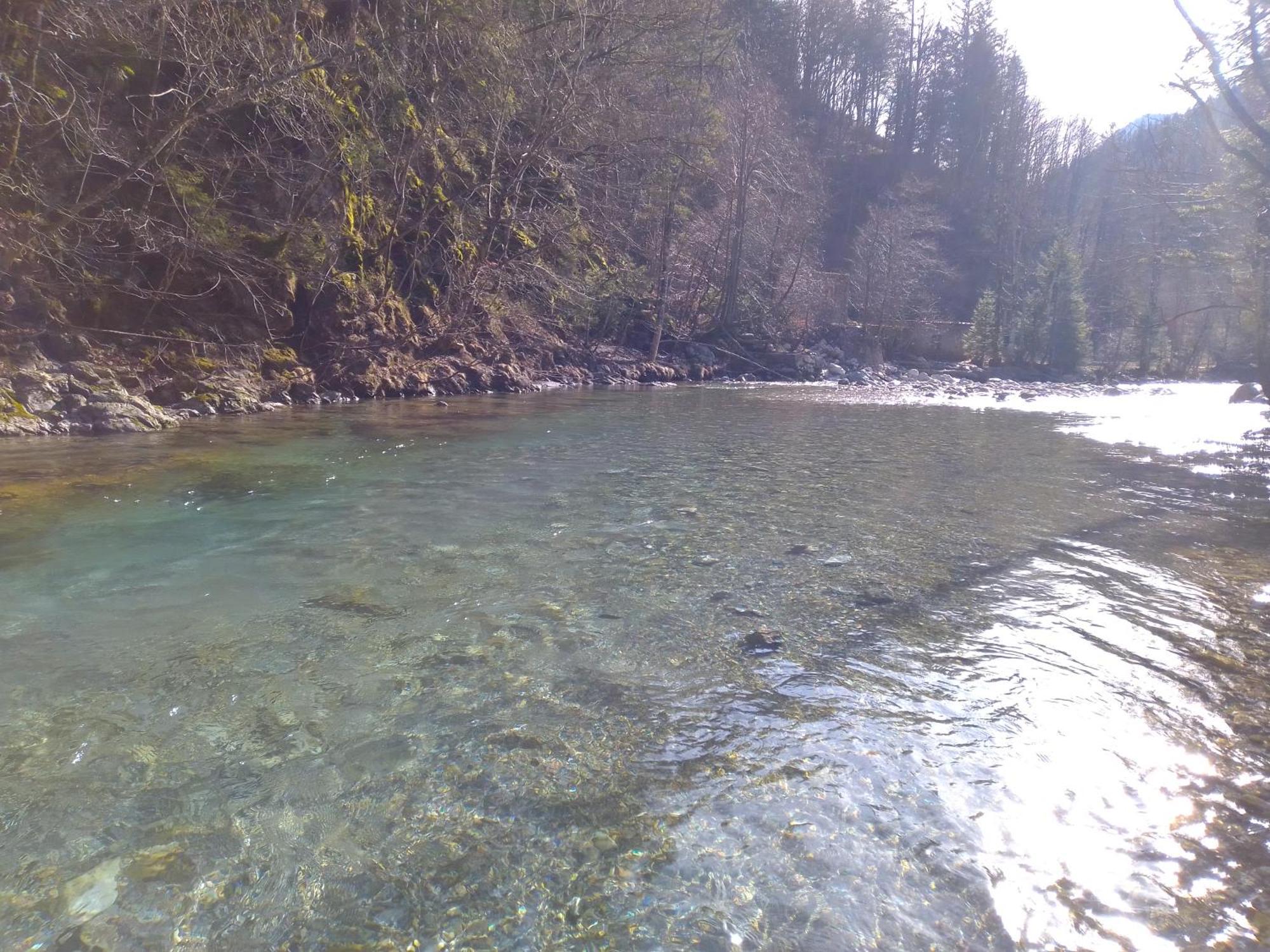 Camping & Glamping Grintovec Preddvor Bagian luar foto